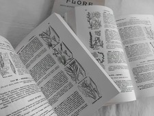 Flore descriptive illustree d'occasion  Dourges