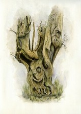 Usado, Linha de tronco de árvore antiga e impressão de lavagem de uma pintura original em aquarela comprar usado Usado, Linha de tronco de árvore antiga e impressão de lavagem de uma pintura original em aquarela comprar usado  Enviando para Brazil