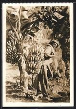 CPA Santos, Carregador com cacho bananas  comprar usado  Enviando para Brazil