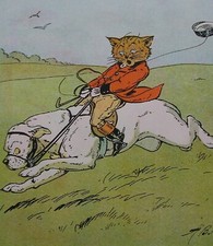 Fox riding foxhound for sale  MORPETH