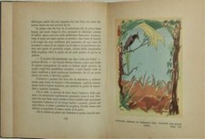 Libro della giungla usato  Montoro