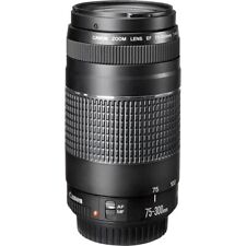 Canon 300mm 4 d'occasion  Saint-Herblain