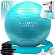 Exercise ball chair for sale  Wichita Falls