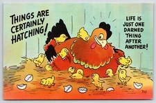 Things certainly hatching for sale  Boiling Springs