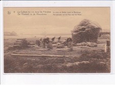 Flandre occidentale culture d'occasion  France