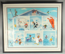 Looney bin animation for sale  NORTH FERRIBY