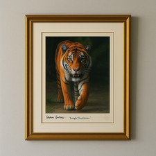 Limited edition framed for sale  BRISTOL