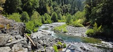 North yuba gold for sale  Grass Valley