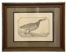 Canada goose pen for sale  Canby