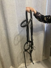 Stubben bridle for sale  EGREMONT