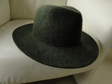 Herrenhut filzhut 54 gebraucht kaufen  Warendorf
