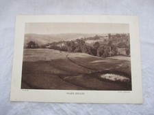 Ancienne planche cartonnee d'occasion  Prades