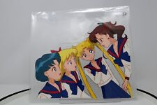 Sailor moon animation for sale  Kirksville