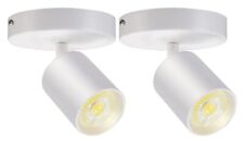 Pack flush mount for sale  Iva