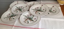 Superbes assiettes dessert d'occasion  Arvert