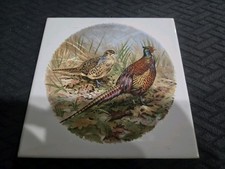 Mcm bird quail for sale  USA