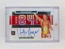 Hulk hogan championship gebraucht kaufen  Magdeburg
