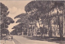 Fregene la pineta usato  Roma