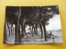 Pineto pineta la usato  Frosinone