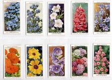 Garden flowers cigarette for sale  BRECON