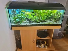 Aquarium 200 liter gebraucht kaufen  Deiningen