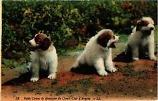 Old postcard petit d'occasion  Expédié en Belgium