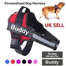 Personalised dog harness for sale  MANCHESTER