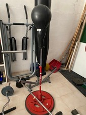 Punching ball boxe usato  Urbino