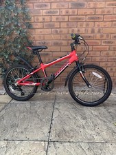 Python rock boys for sale  SWINDON