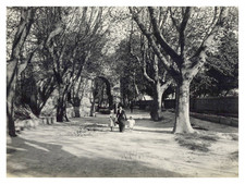 Arles promenade parc d'occasion Arles promenade parc d'occasion  Pagny-sur-Moselle