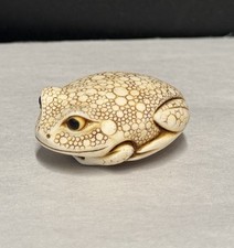 Adam binder toad for sale  Baton Rouge