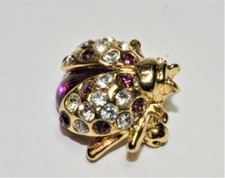 Tono Dorado Transparente Morado Pedrería Bicho Forma Broche comprar usado  Enviando para Brazil