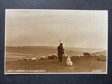 Shepherd sussex downs for sale  WORKINGTON