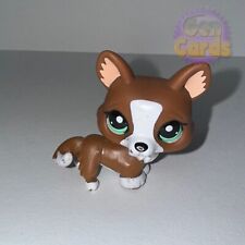 Littlest petshop chien d'occasion  Bruay-la-Buissière