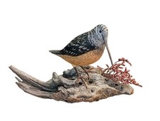 1999 american woodcock for sale  East Setauket