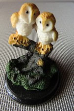1980s barn owls for sale  BELFAST