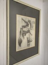 Grant wood tree for sale  Pella