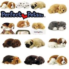 Perfect petzzz dogs usato  Montespertoli