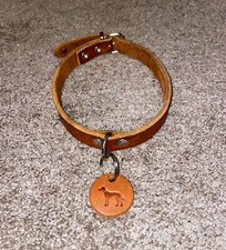 Hunter aalborg hundehalsband gebraucht kaufen  Oberaurach