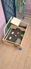 Terrario per tartaruga usato  Roma