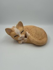 Orange white cat for sale  Fort Lauderdale