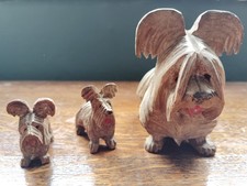 shih tzu puppies for sale shih tzu puppies for sale TAMWORTH