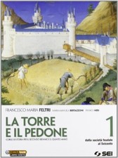 Torre pedone societa usato  Busto Arsizio