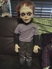 Seed chucky glen for sale  Cape Coral