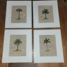 Framed palm tree for sale  Tiffin