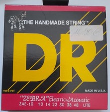 Zebra electric acoustic gebraucht kaufen  Schwäbisch Gmünd
