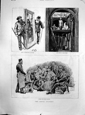 Antique print royal for sale  UK