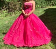 Mary quinceanera hot for sale  Houston