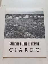 Vincenzo ciardo galleria usato  Camogli