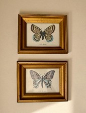 Vintage 1970 butterfly for sale  Newnan